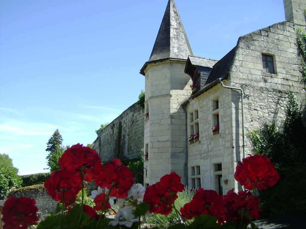 Le Petit Hureau Saumur Dış mekan fotoğraf
